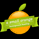 A Small Orange