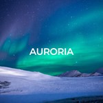 Auroria