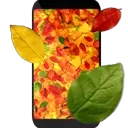 Autumn Leaves 3D Live Wallpaper