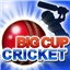 Big Cup Cricket
