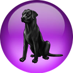 Black Lab Linux