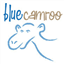 BlueCamroo