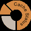 Cache Status