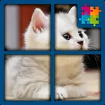 Cat The Jigsaw Puzzle Free