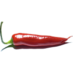 ChiliProject