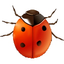 Coccinella