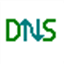 DNS Redirector
