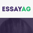 Essayag.org