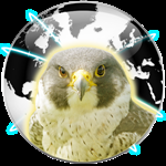 Falcon Private Browser