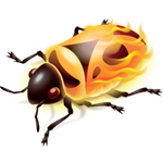 Firebug