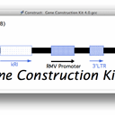 Gene Construction Kit