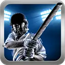 Hitwicket Cricket Manager