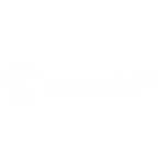 Hodlnaut