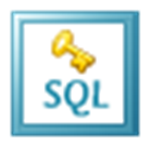 Kernel for SQL Password Recovery