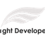 Light Developer