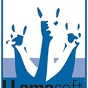 LLamasoft