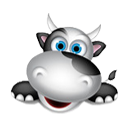 Medocow.com