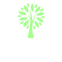 Mindfulness at the Computer