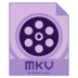 MKV Video Converter