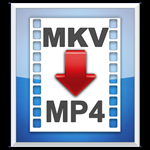 MKV2MP4