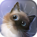 Peper Kitten Live Wallpaper