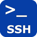 Persistent SSH