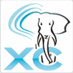 Postgres-XC