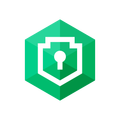 SecureBridge Pro