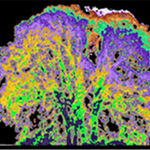 Spectrum Shift Visualizations