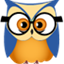 Stat Owl