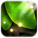 Tap Leaves Live Wallpaper