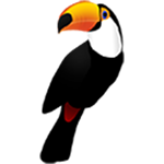 Toucan