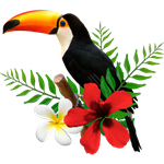 Toucan Tasks