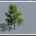 TreeGen - 3D Tree Generator