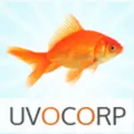 UvoCorp.com